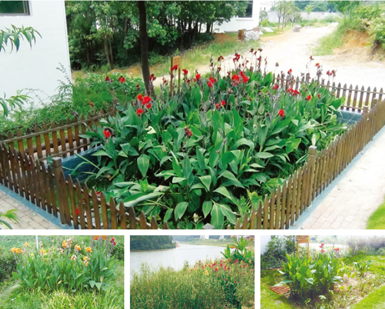 望城光明村污水處理項(xiàng)目 望城光明村污水處理項(xiàng)目