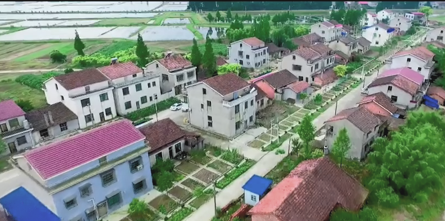 1649407806215084.png image.png