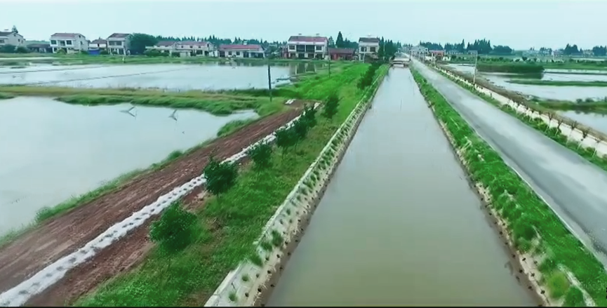 1649407854796984.png image.png