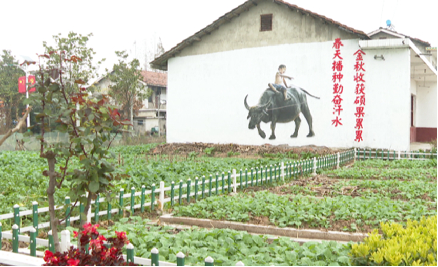 1649408012183036.png image.png