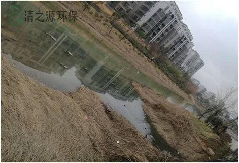 高濃度有機(jī)廢水的水質(zhì)特點(diǎn)以及有哪些危害 高濃度有機(jī)廢水的水質(zhì)特點(diǎn)以及有哪些危害