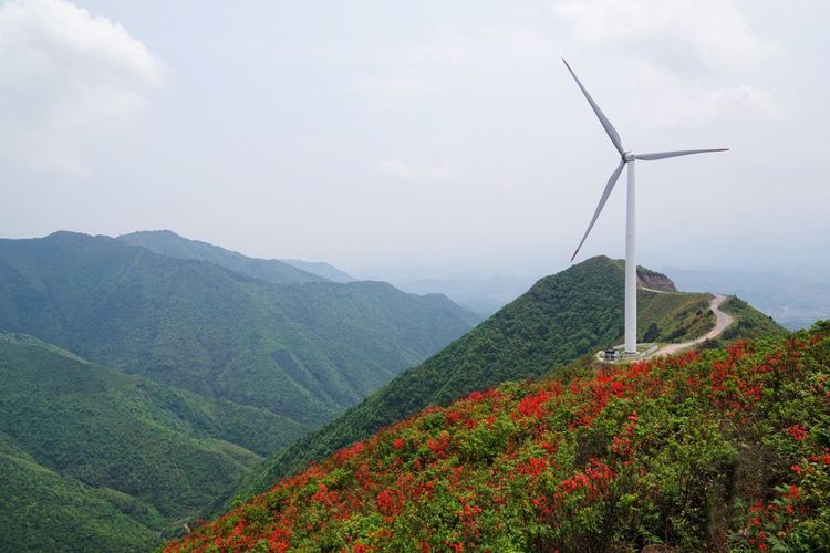 1660803604169515.jpg 12.jpg