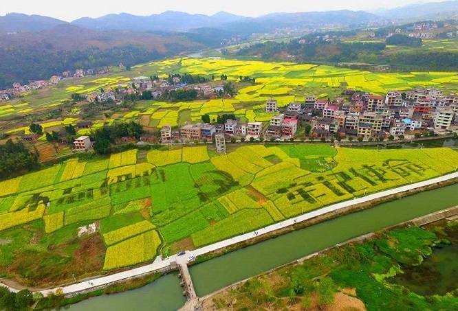 1665737869191062.jpg 9.jpg