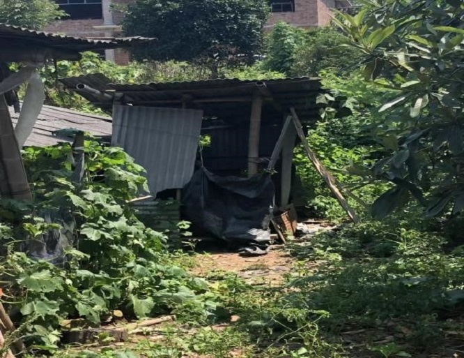 1671180177182084.jpg 3.jpg