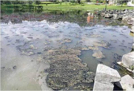 常用的污水水質(zhì)的化學(xué)指標(biāo)有哪些 常用的污水水質(zhì)的化學(xué)指標(biāo)有哪些