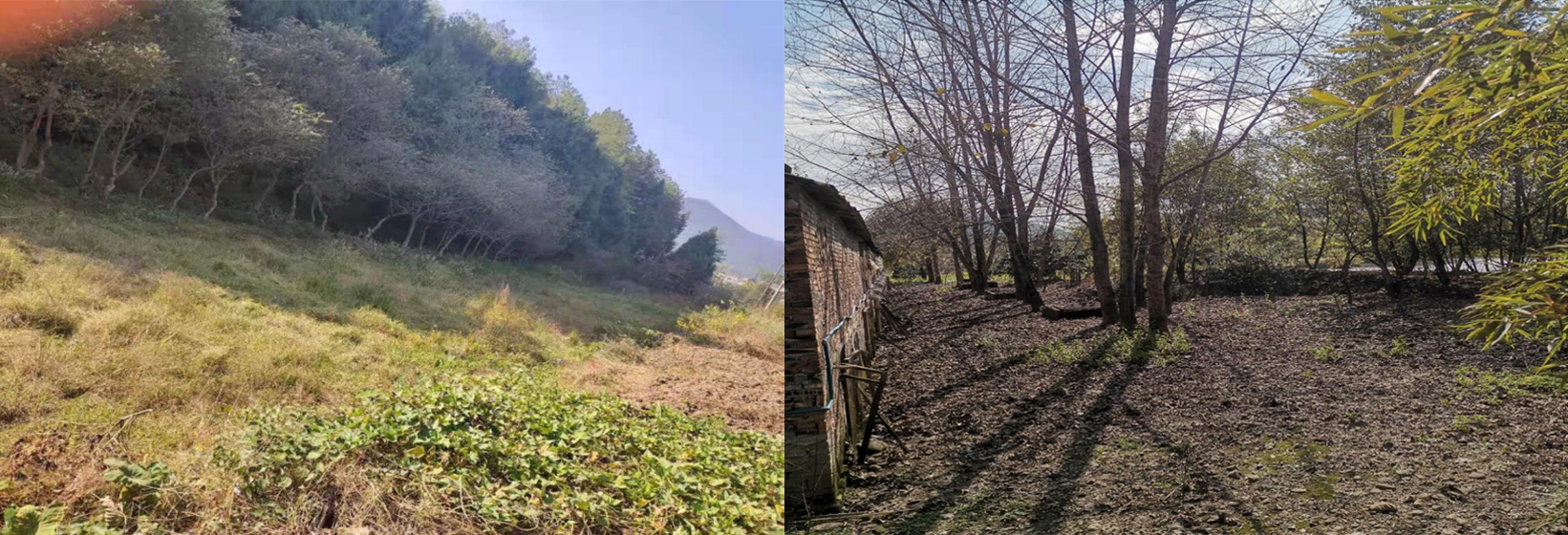 1684399972647916.png 石塘村、五星村污水站現(xiàn)場(chǎng)選址現(xiàn)場(chǎng)圖.png