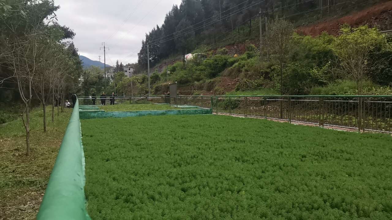 1684400361129866.jpg 石塘村集中點(diǎn)1.jpg