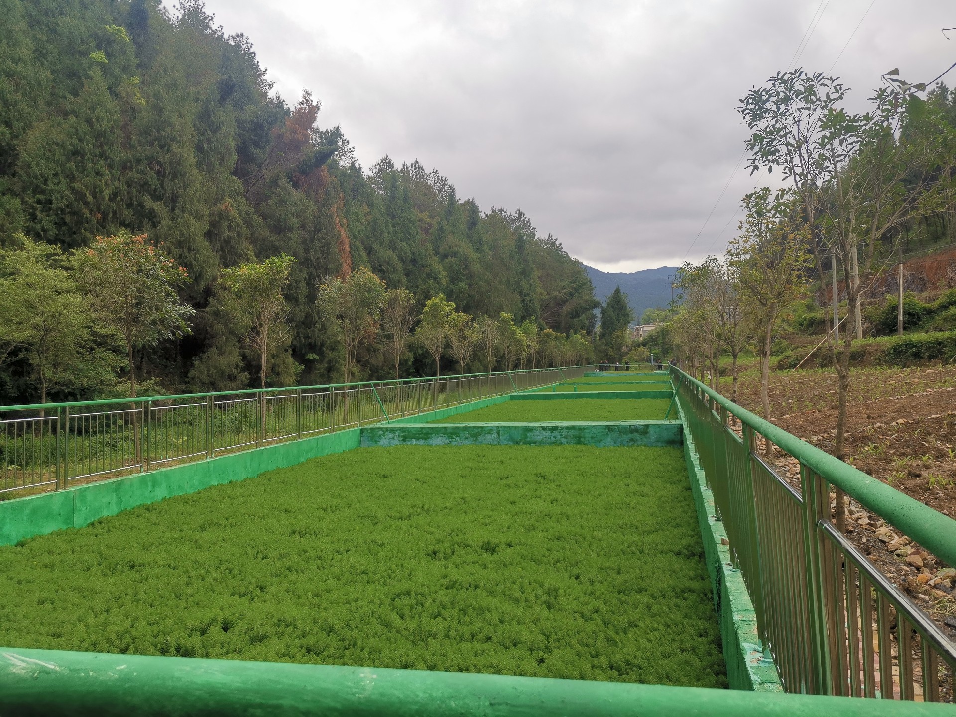 1684400399114328.jpg 石塘村集中點(diǎn)2.jpg