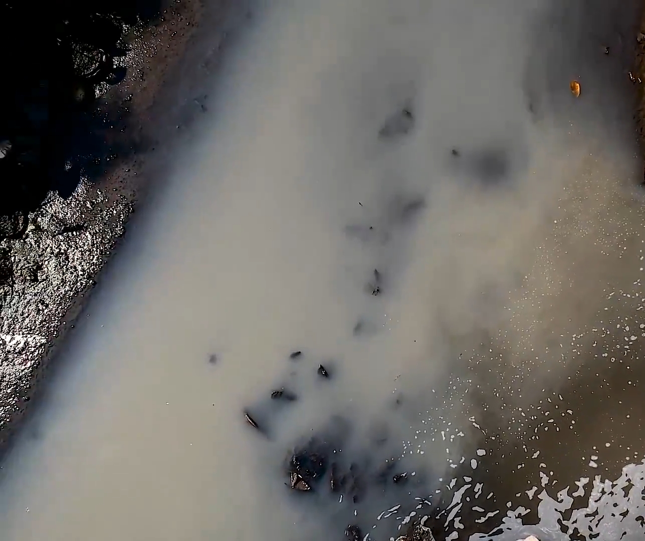 1699924577358339.png 微信截圖_20231108085320.png