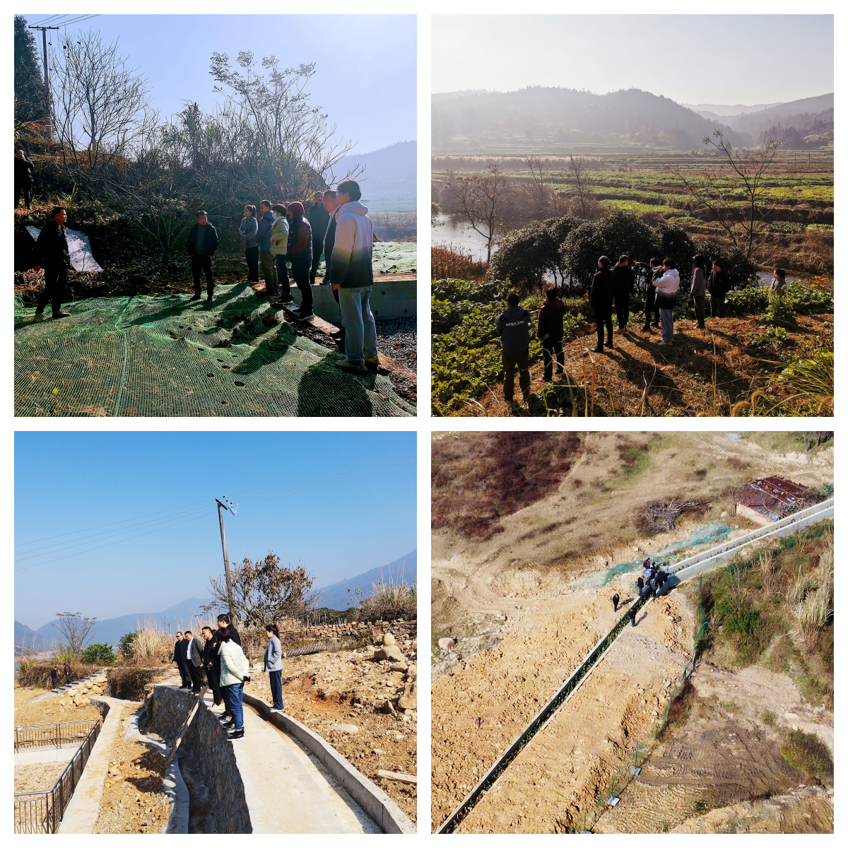 1704338534671368.png IMG_3463.HEIC_副本.png