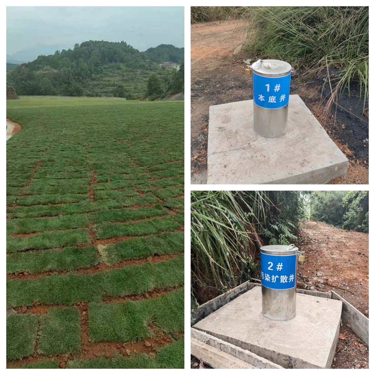 1706235826160580.jpg 未命名.jpg