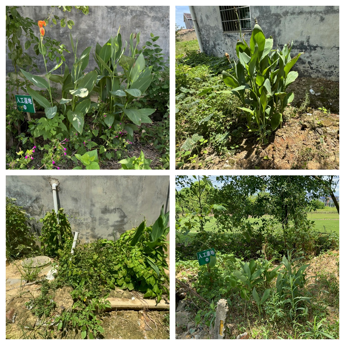 1728355494186378.jpg 1728355494186378.jpg