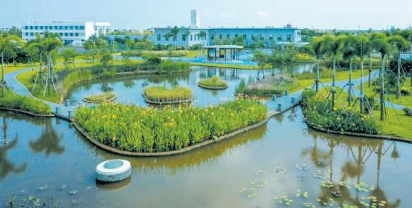 1735282894886160.png 圖片4.png