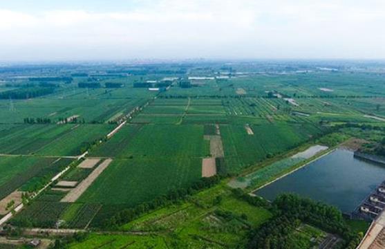 農(nóng)村環(huán)境綜合整治實施方案選擇哪家好？