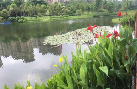 農(nóng)村污水處理需要什么資質(zhì)？