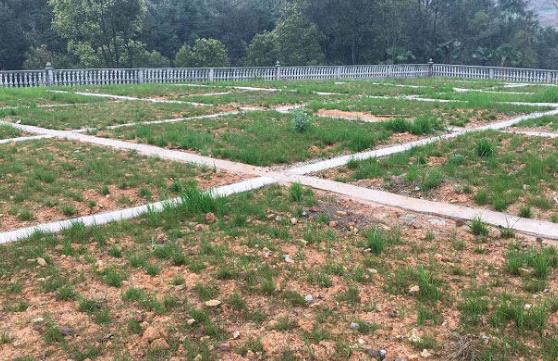 農(nóng)村環(huán)境綜合整治存在哪些問題？