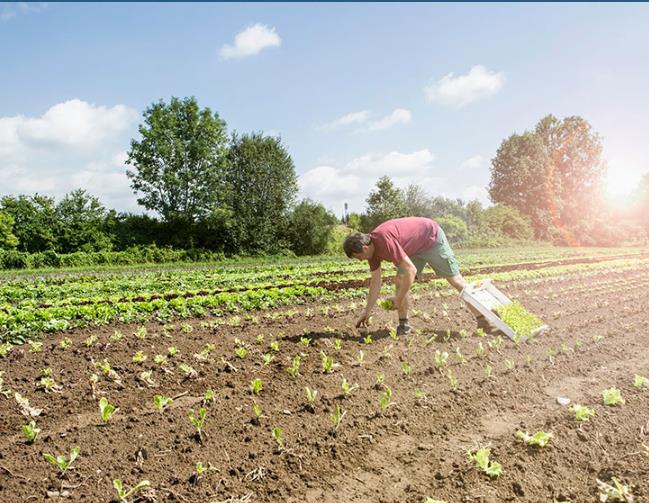 農(nóng)村環(huán)境治理可以找什么公司做？